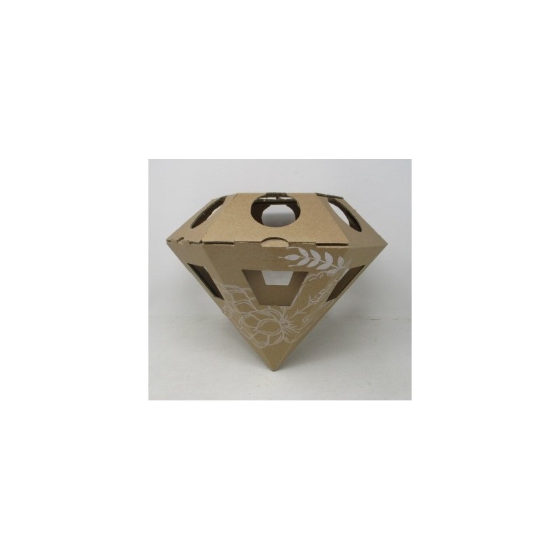 2212.jpg Coffret en carton diamant de biere