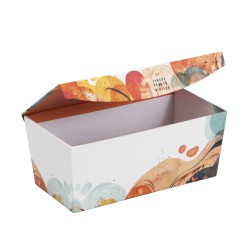 Boite carton avec couvercle aimante Color 22x12x9