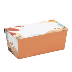 Boite carton avec couvercle aimante Color 22x12x9
