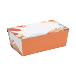 Boite carton avec couvercle aimante Color 28x17x10