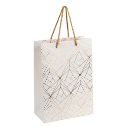 Sac rectangulaire carton Exception 19x9x27