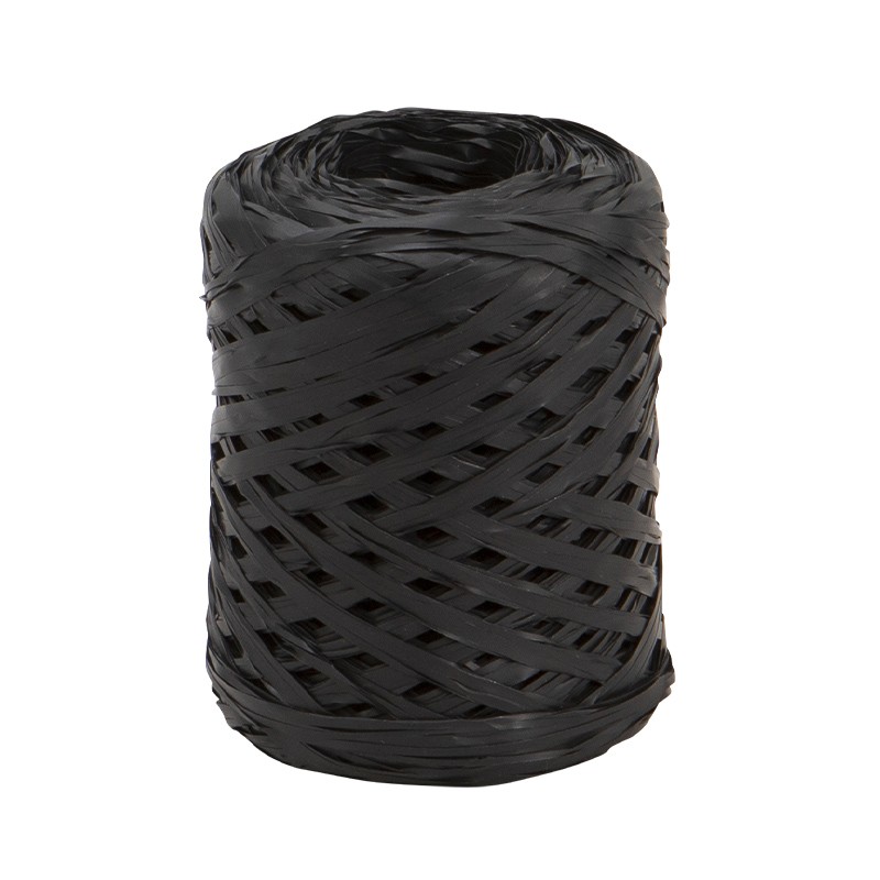 996N_01.jpg Bobine de bolduc raphline noir