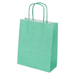 Sac papier kraft vert d'eau 18x8x22