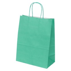 Sac papier kraft vert d'eau 23x12x30