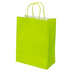 Sac kraft 90g vert poignees torsadees