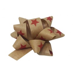 Sachet de 50 etoiles kraft deco rouge