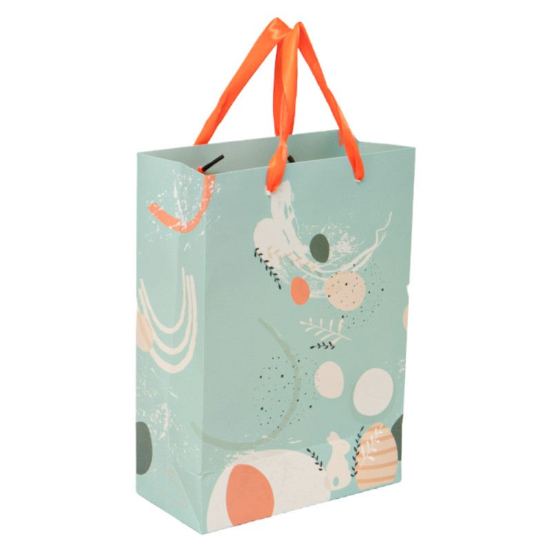 SPR003_01.jpg Sac carton rectangulaire Spring 19x9x27