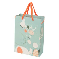 Sac carton rectangulaire avec poignees Spring 19x9x27