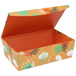 Boite Carton Rectangulaire Orange Canyon 35x23x11 cm