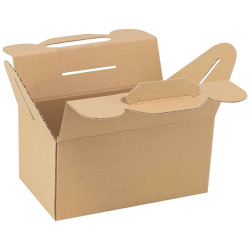 Box carton rectangulaire marron Kraft 20x12x10 cm