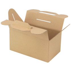 Box carton rectangulaire marron Kraft 20x12x10 cm