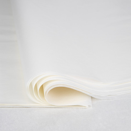Papier De Soie Blanc 64x44cm - 200g, 27 Feuilles - Papier Recyclé Pour Déménagement, Emballage Cadeau, Remplissage Et Bricolage