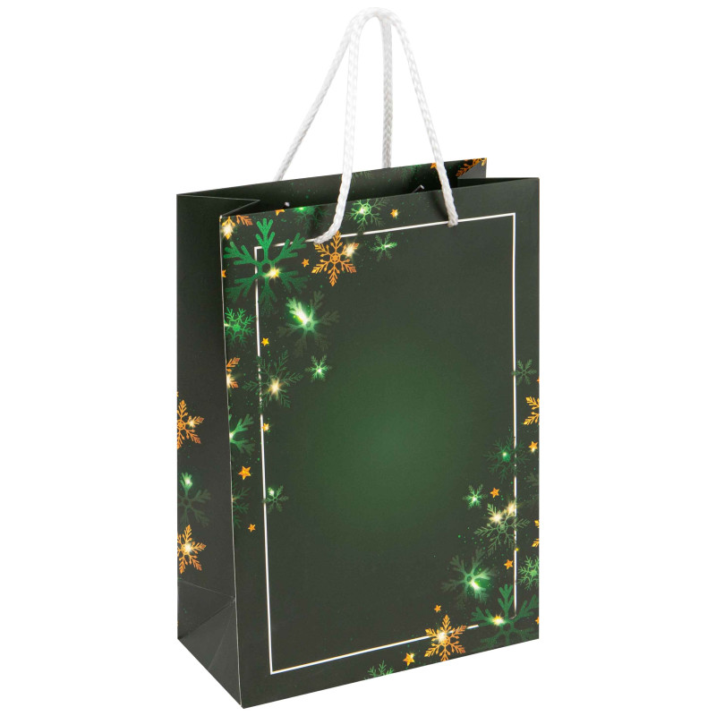 Sac Carton Rectangulaire Vert Noel Verdoyant 19x9x27cm