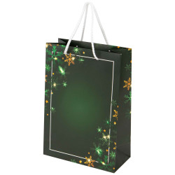 Sac Carton Rectangulaire Vert Noel Verdoyant 19x9x27cm