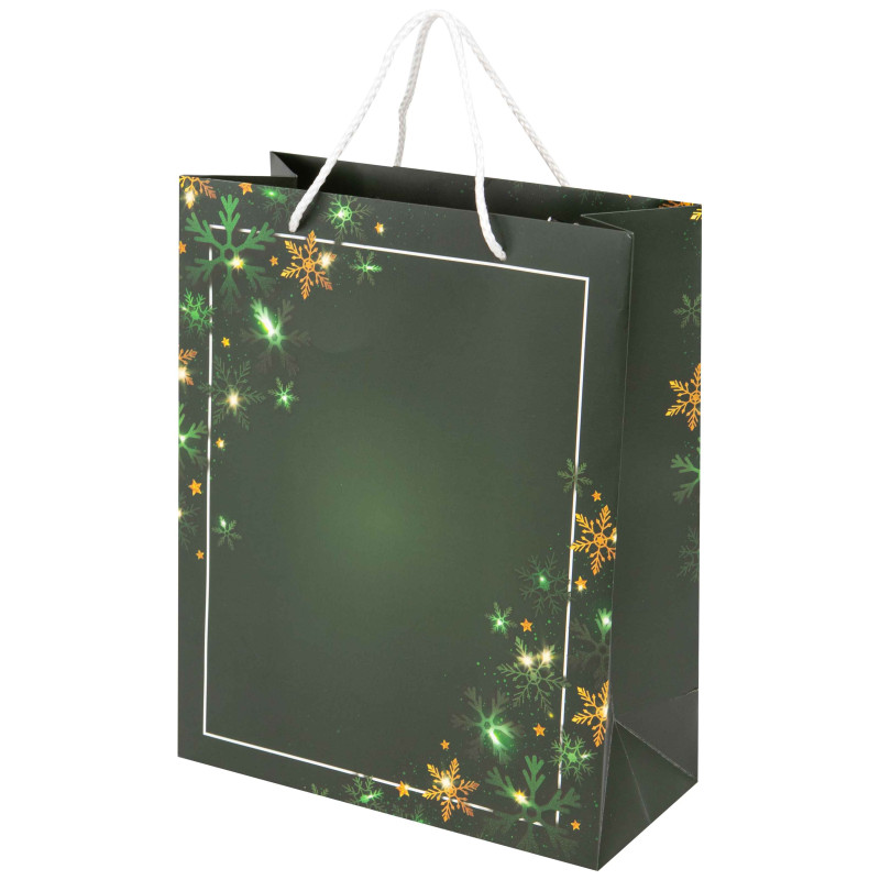 Sac carton rectangulaire vert Noel Verdoyant 26x12x32 cm