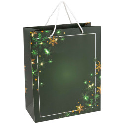 Sac carton rectangulaire vert Noel Verdoyant 26x12x32 cm