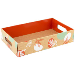 Cagette Carton Rectangulaire Orange Canyon 55x33,5x10cm