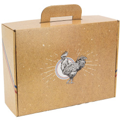 Valisette Carton Rectangulaire Kraft Gallus 36,5x27x12 cm