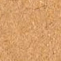 Carton
